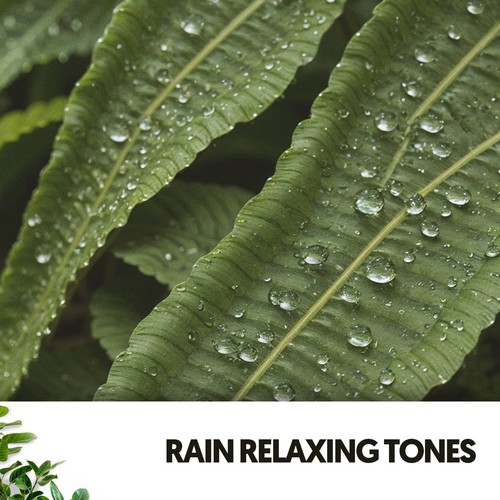 Rain Spa Sounds: Soulful Power of Water