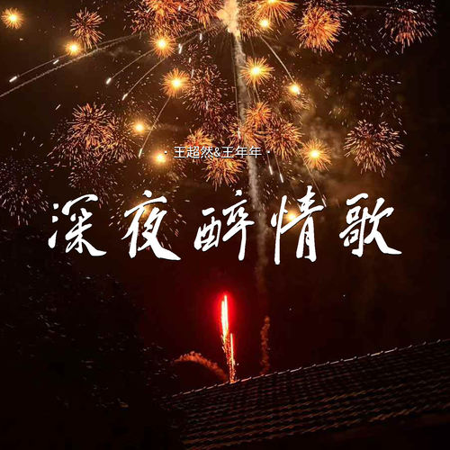 深夜醉情歌