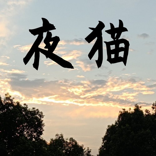 夜猫 (当我醒来太阳已喝醉)