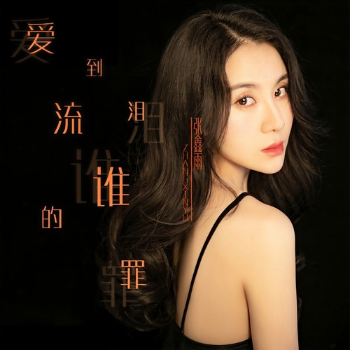 爱到流泪谁的罪(DJ何鹏版) - 张鑫雨