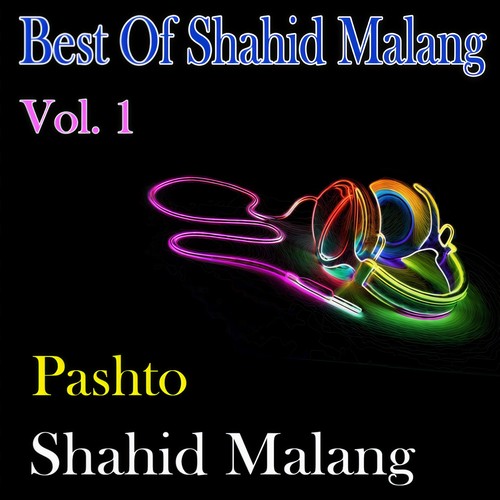 Best of Shahid Malang, Vol. 1