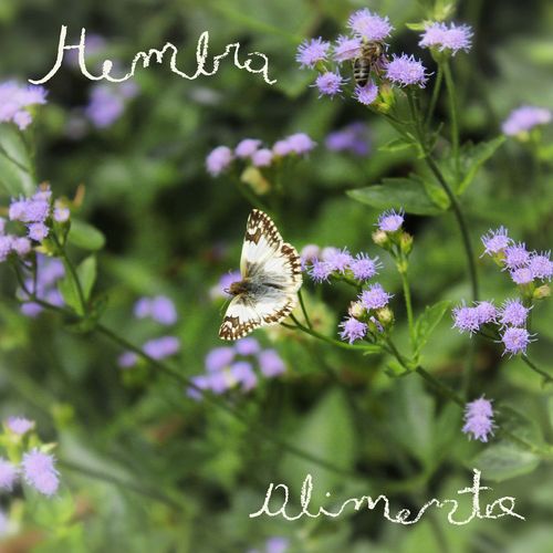 Alimento (Explicit)