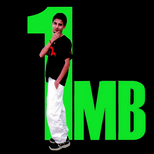 1 Mb