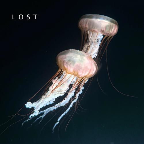 LOST