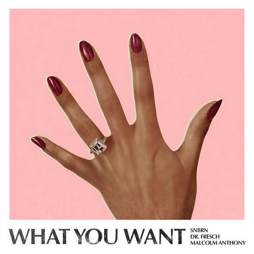 What You Want (Explicit)