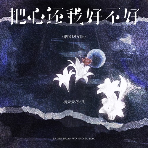 把心还我好不好（烟嗓DJ女版）