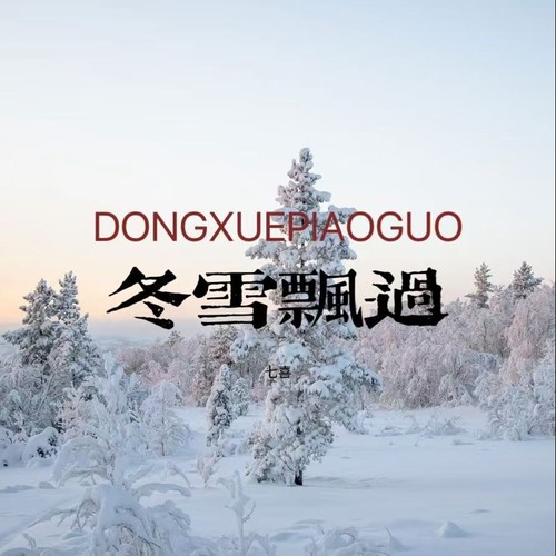冬雪飘过