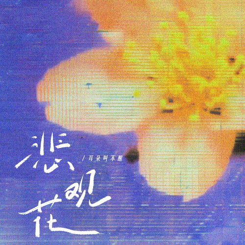 悲观花