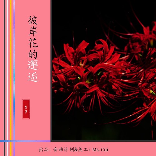 彼岸花的邂逅