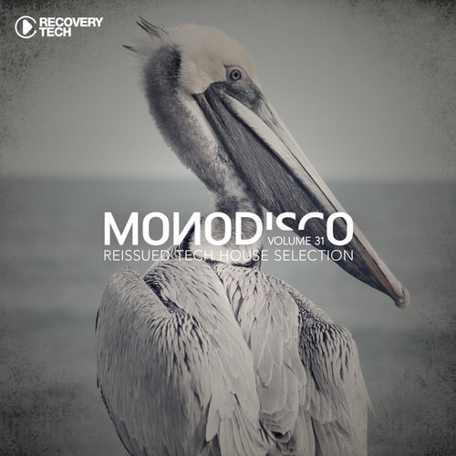 Monodisco, Vol. 31