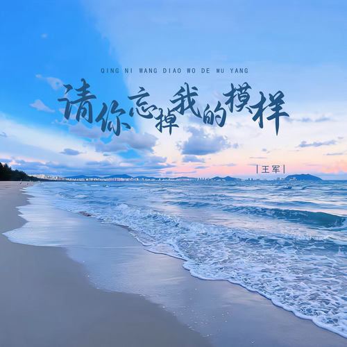 请你忘掉我的模样