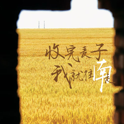 收完麦子我就往南走