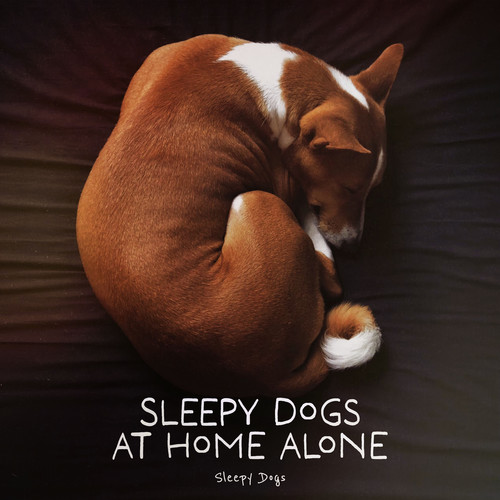 Sleepy Dogs At Home Alone