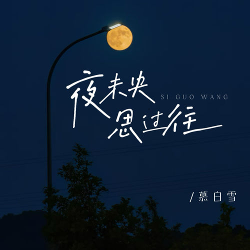 夜未央 思过往