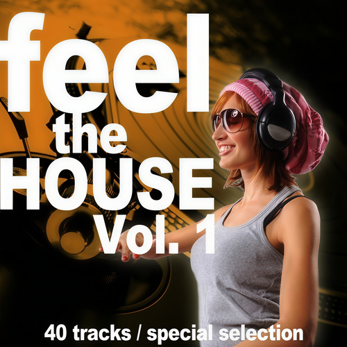 Feel the House