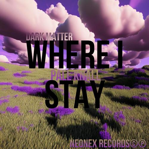 WHERE I STAY (Explicit)