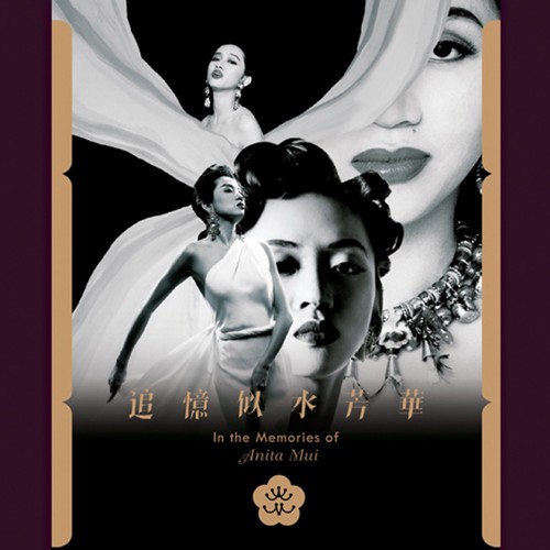 追忆似水芳华 (In the Memories of Anita Mui)