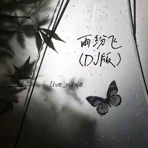 雨纷飞 飞到天空里是我的眼泪(DJ版)
