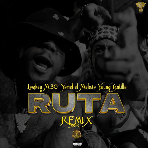 Ruta (feat. Yomel El Meloso & Young Gatillo) [Remix] [Explicit]