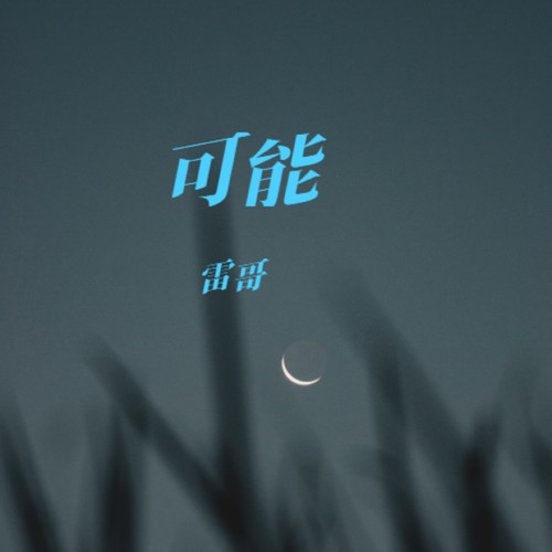 可能