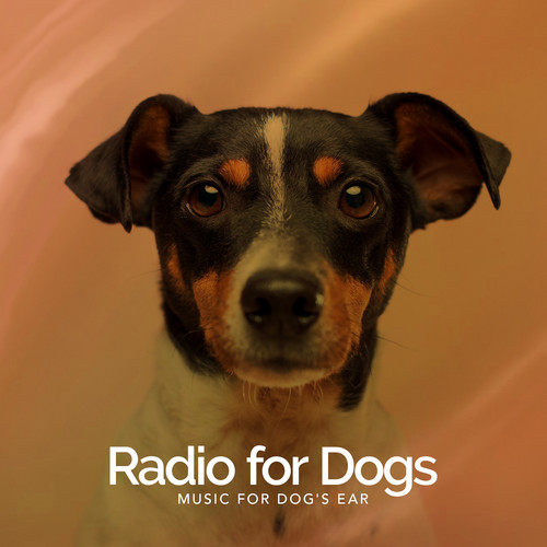 Radio for Dogs