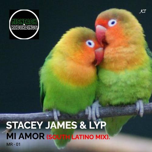 Mi Amor (South Latino Mix)