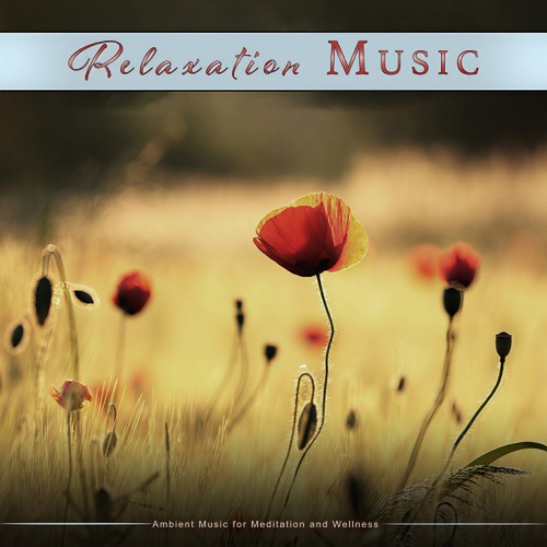 Relaxation Music: Ambient Music for Meditation and Wellness