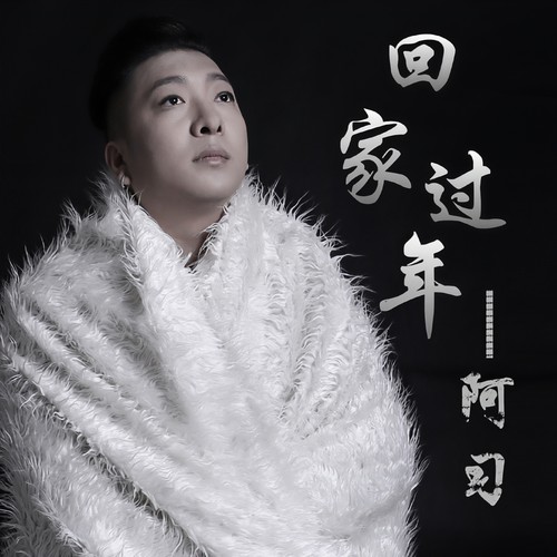 回家过年