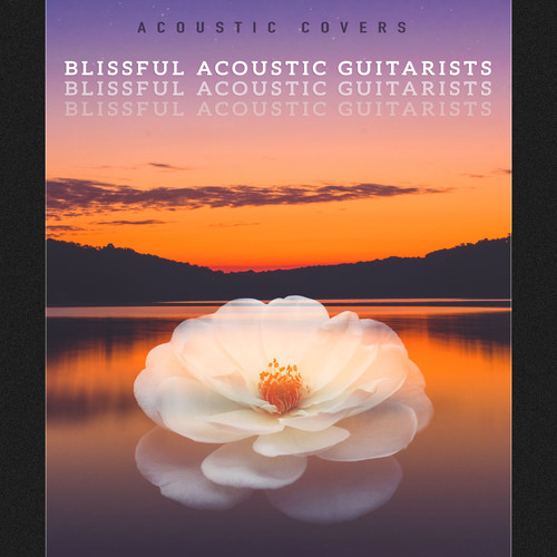 Blissful Acoustic Guitarists