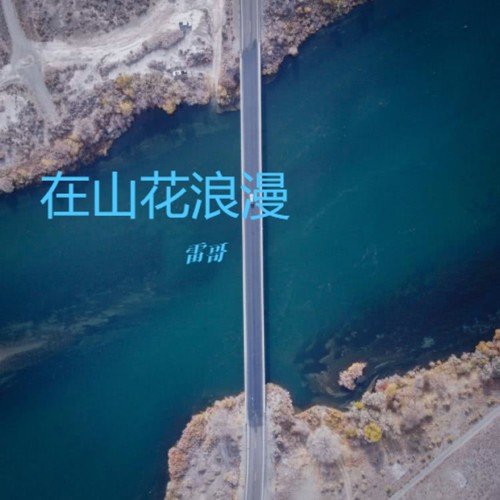在山花浪漫