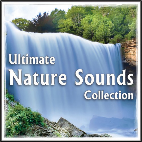 Ultimate Nature Sounds Collection: for Healing, Yoga, Spa