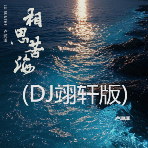 相思苦海(DJ翊轩版)