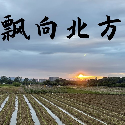 飘向北方 (剪辑版)