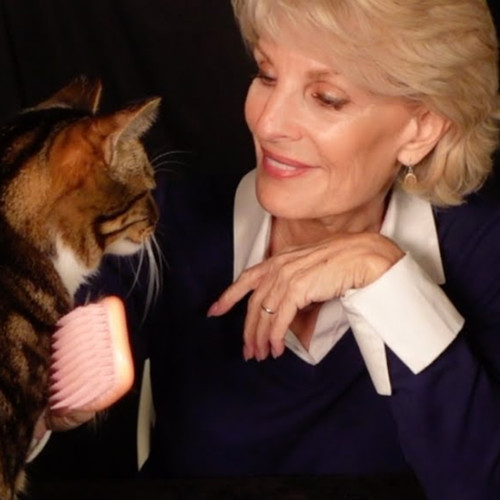 UNEXPECTED ASMR COLLAB WHEN SPUTNIK THE CAT TAKES OVER!