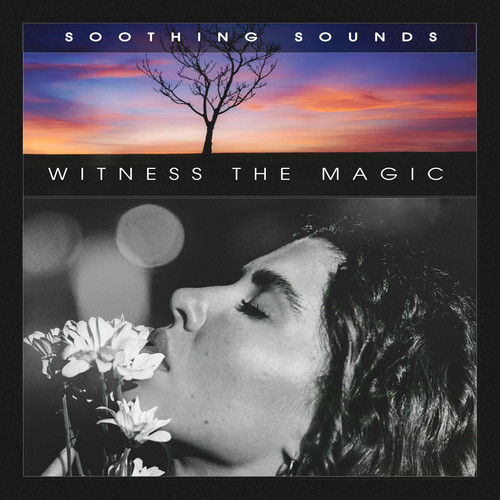 Witness the Magic