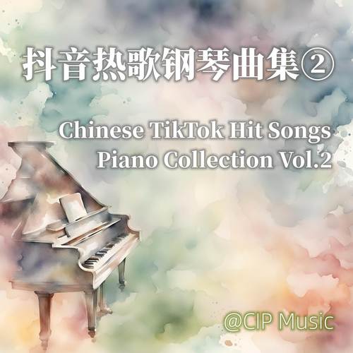 2024抖音热歌钢琴曲集（二）