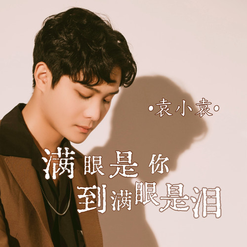 满眼是你到满眼是泪