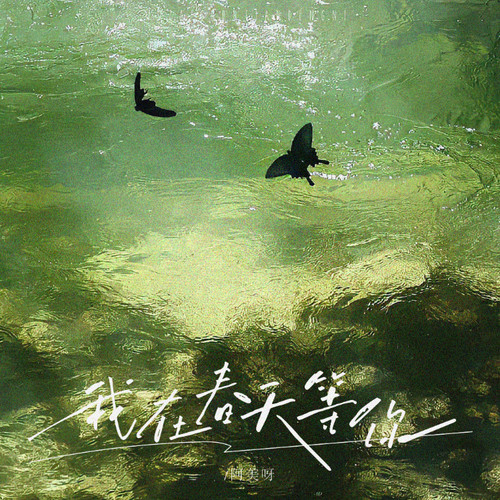 我在春天等你