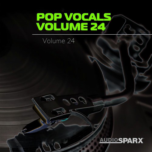 Pop Vocals Volume 24