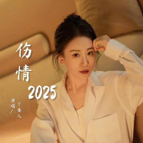 伤情2025（定制版）