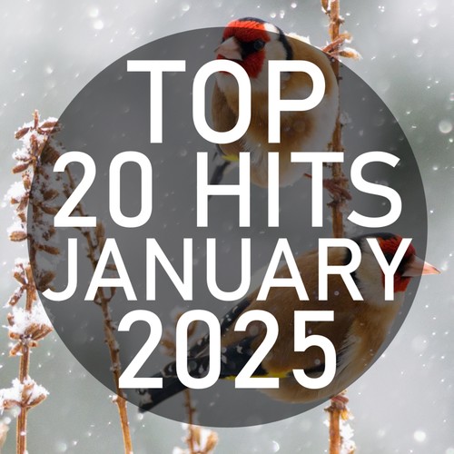 Top 20 Hits January 2025 (Instrumental)