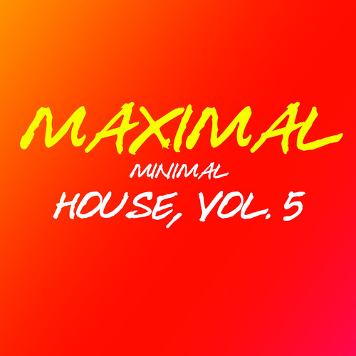 Maximal Minimal House, Vol. 5