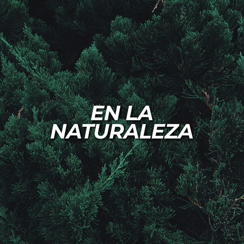 En la naturaleza (Explicit)