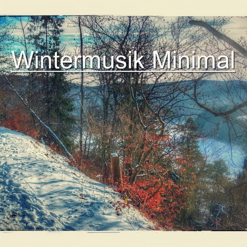 Wintermusik Minimal (39 minimal tracks for winter)