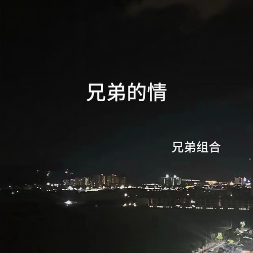 兄弟的情(烟嗓版)