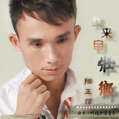我来自壮乡
