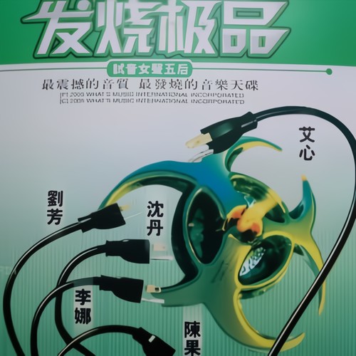 试音五后