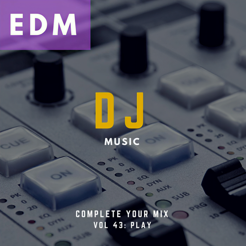 DJ Music - Complete Your Mix, Vol. 43