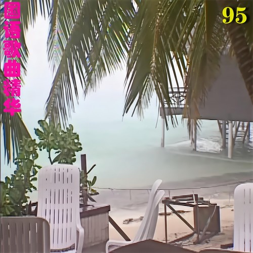 国语歌曲精华95