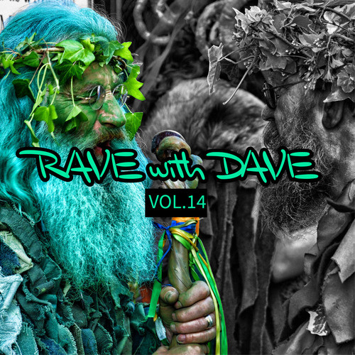 RAVE with DAVE, Vol. 14 (Explicit)